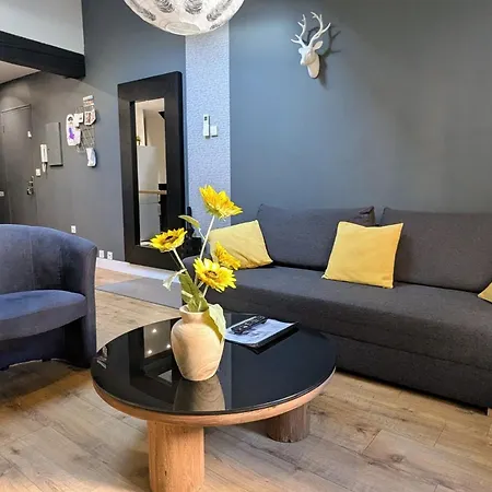 Duplex Calme En Centre-ville Avec Climatisation Et Parking Gratuit *