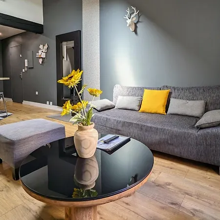 Grand Duplex - Parking Prive - Centre - Calme Toulouse