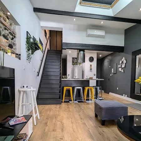 Grand Duplex - Parking Prive - Centre - Calme Apartment