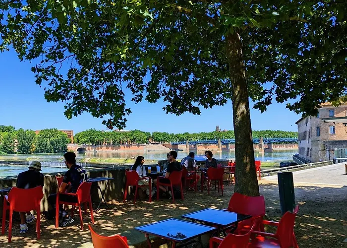 Grand Duplex - Parking Prive - Centre - Calme Toulouse