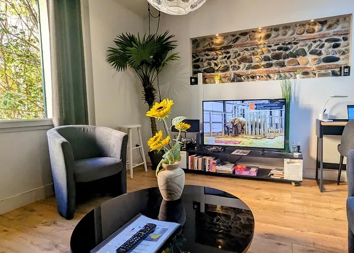 Grand Duplex - Parking Prive - Centre - Calme *