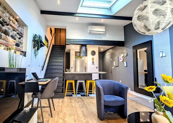 Grand Duplex - Parking Prive - Centre - Calme * Toulouse